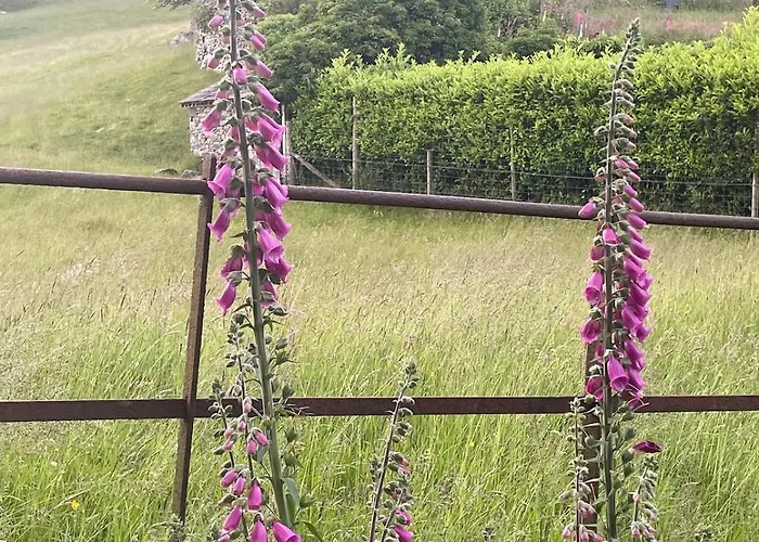 Apartamento Hot-tub Hideaway *