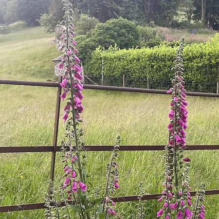 Apartman Hot-tub Hideaway *